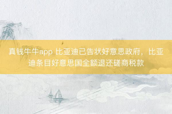 真钱牛牛app 比亚迪已告状好意思政府，比亚迪条目好意思国全额退还磋商税款