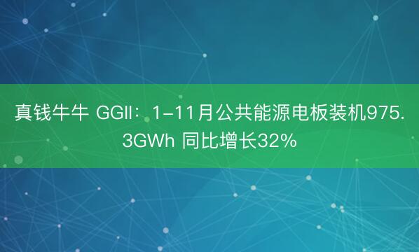 真钱牛牛 GGII：1-11月公共能源电板装机975.3GWh 同比增长32%