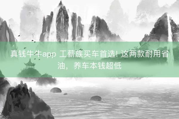 真钱牛牛app 工薪族买车首选! 这两款耐用省油，养车本钱超低