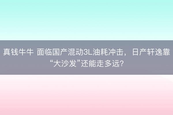 真钱牛牛 面临国产混动3L油耗冲击，日产轩逸靠“大沙发”还能走多远?