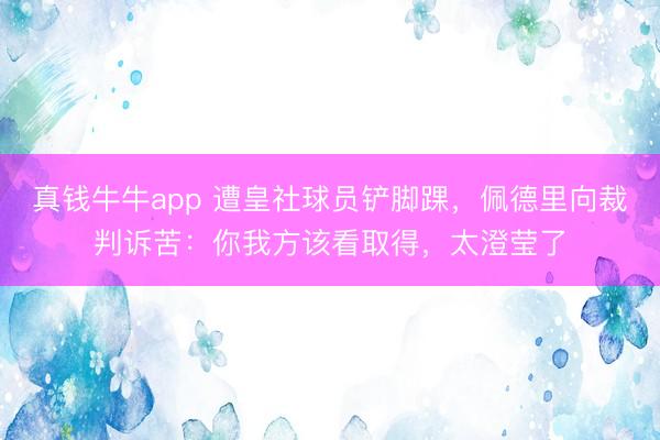 真钱牛牛app 遭皇社球员铲脚踝，佩德里向裁判诉苦：你我方该看取得，太澄莹了