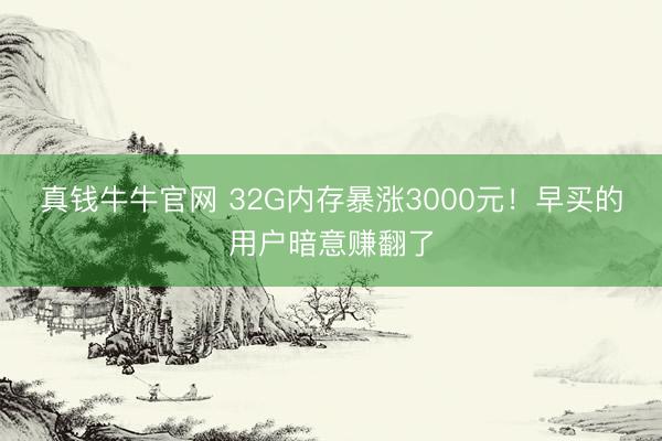 真钱牛牛官网 32G内存暴涨3000元！早买的用户暗意赚翻了