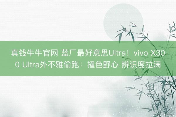 真钱牛牛官网 蓝厂最好意思Ultra！vivo X300 Ultra外不雅偷跑：撞色野心 辨识度拉满