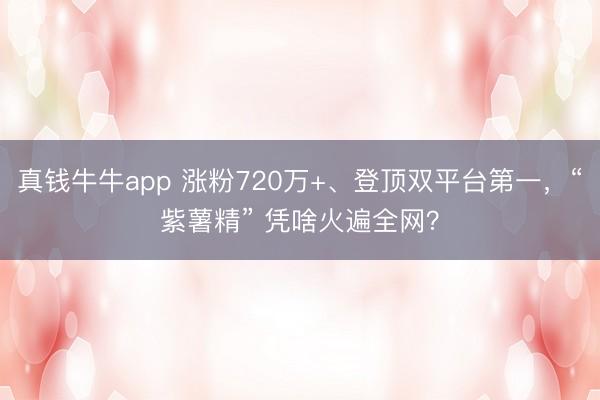 真钱牛牛app 涨粉720万+、登顶双平台第一，“紫薯精” 凭啥火遍全网？