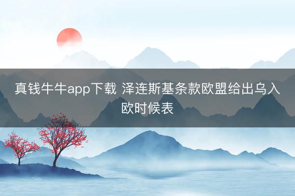 真钱牛牛app下载 泽连斯基条款欧盟给出乌入欧时候表