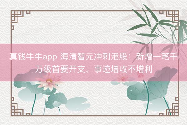 真钱牛牛app 海清智元冲刺港股：新增一笔千万级首要开支，事迹增收不增利