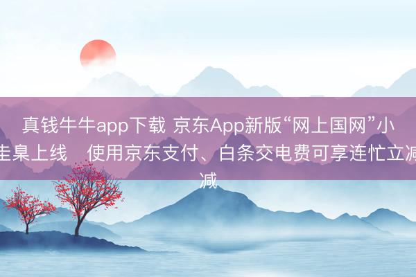 真钱牛牛app下载 京东App新版“网上国网”小圭臬上线   使用京东支付、白条交电费可享连忙立减