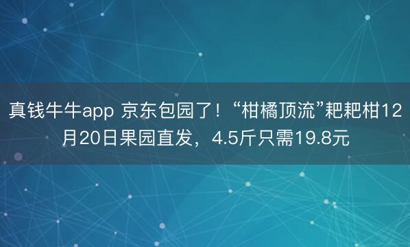 真钱牛牛app 京东包园了!“柑橘顶流”耙耙柑12月20日果园直发,4.5斤只需19.8元