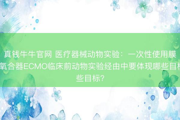 真钱牛牛官网 医疗器械动物实验：一次性使用膜式氧合器ECMO临床前动物实验经由中要体现哪些目标?