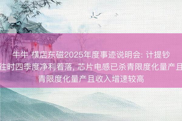 牛牛 横店东磁2025年度事迹说明会: 计提钞票减值准备致往时四季度净利着落, 芯片电感已杀青限度化量产且收入增速较高