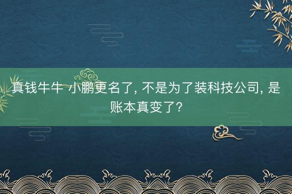 真钱牛牛 小鹏更名了， 不是为了装科技公司， 是账本真变了?