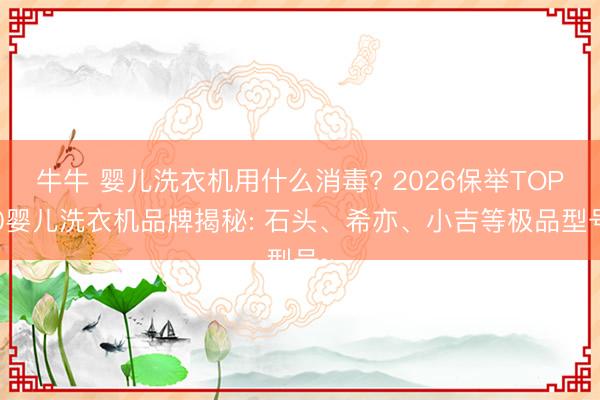 牛牛 婴儿洗衣机用什么消毒? 2026保举TOP10婴儿洗衣机品牌揭秘: 石头、希亦、小吉等极品型号~