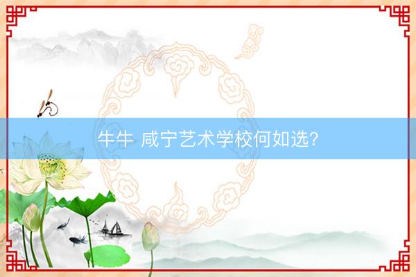 牛牛 咸宁艺术学校何如选？