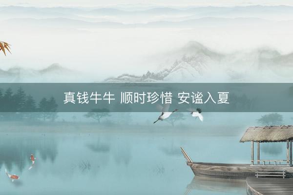 真钱牛牛 顺时珍惜 安谧入夏