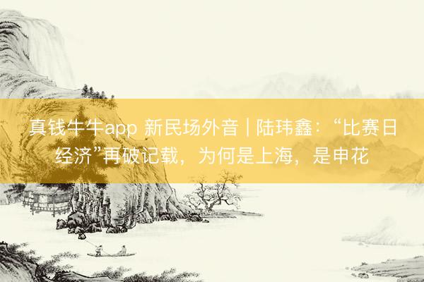 真钱牛牛app 新民场外音 | 陆玮鑫：“比赛日经济”再破记载，为何是上海，是申花