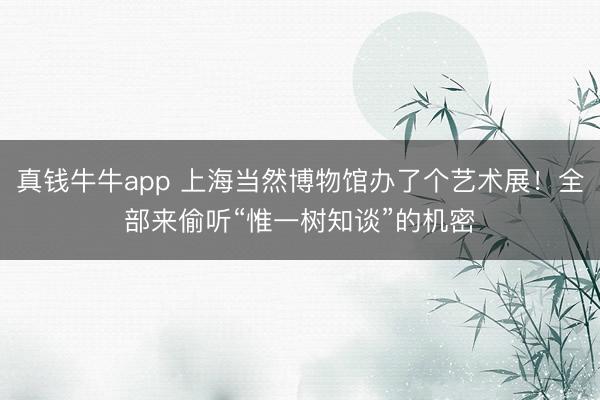 真钱牛牛app 上海当然博物馆办了个艺术展！全部来偷听“惟一树知谈”的机密
