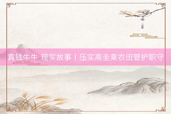 真钱牛牛 现实故事丨压实高圭臬农田管护职守